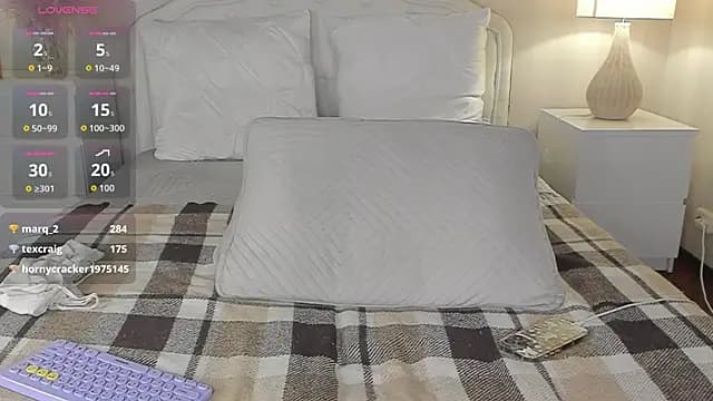 Battyheaven live cam