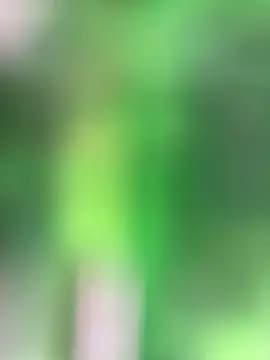 torchermachine live cam