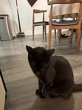 rileylovesyou live cam