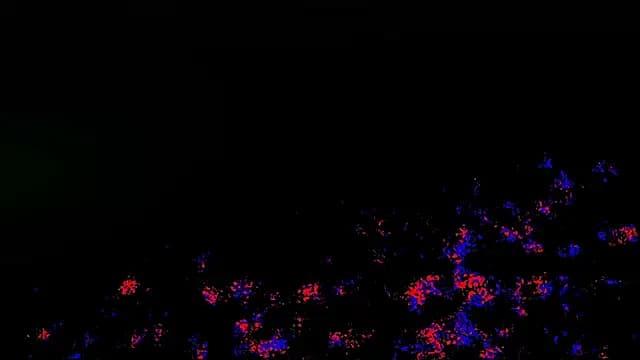 Nathan_chase live cam