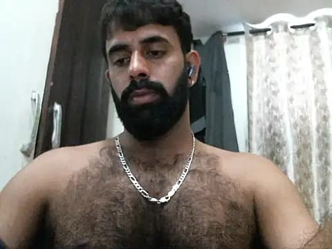 indianhairybull live cam