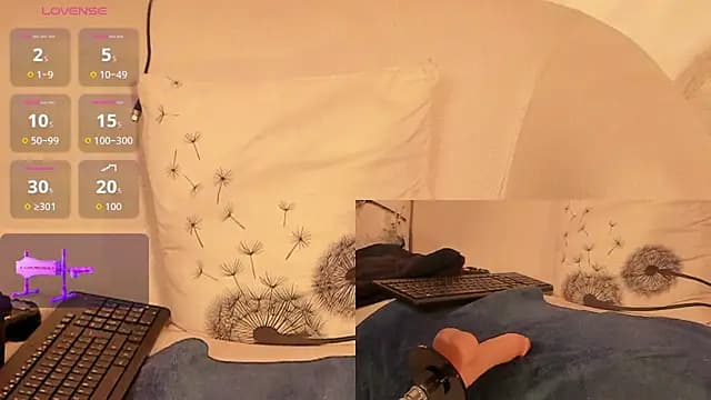 Alfred-Rein live cam