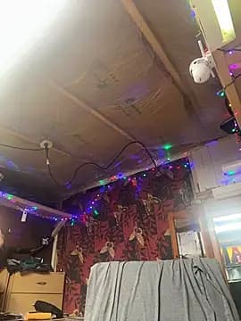 ARCHERTASTE live cam