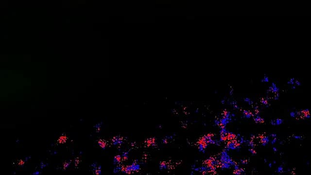 Nathan_chase live cam