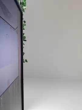 bingxin live cam on Stripchat