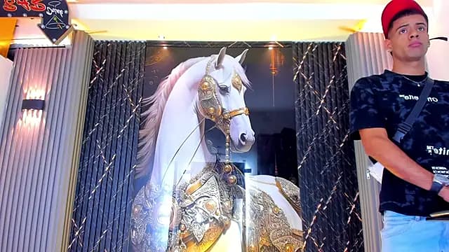 the_knights_of_the_night_ live cam