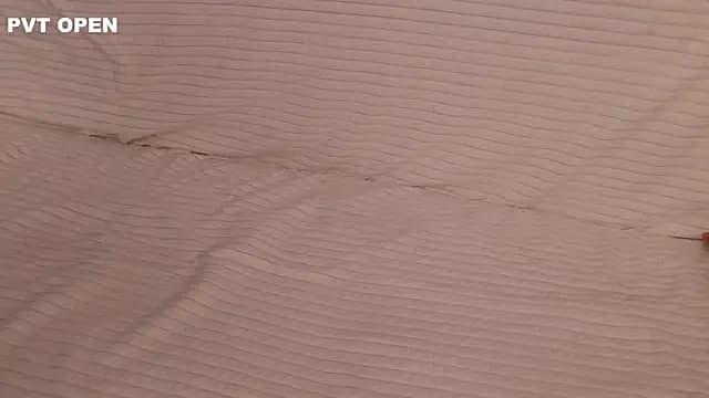 hlopushkahouse live cam