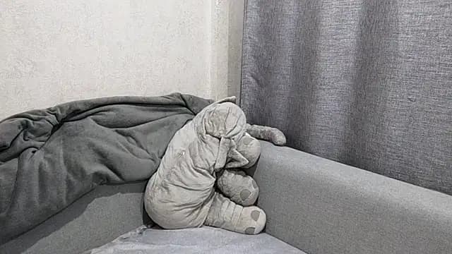 DinaFirebird live cam