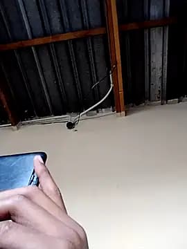 alphamale25 live cam