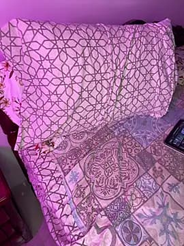 SilentSpecter live cam