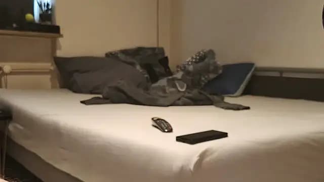 Alphapimmelchen live cam