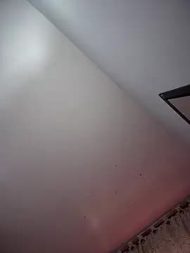 serena_willow live cam