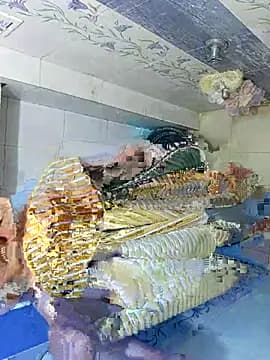 jerryrooh69 live cam