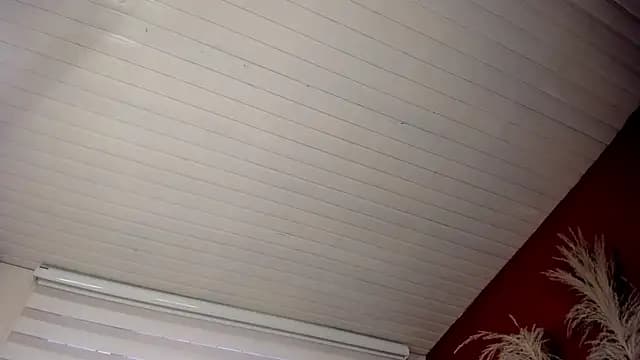 scarlett25__ live cam on Stripchat