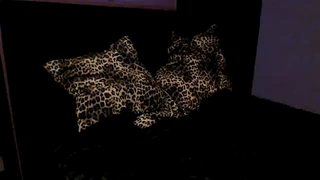 beauty--pain live cam