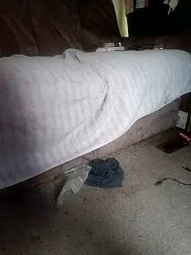 ShawnandDani7074 live cam