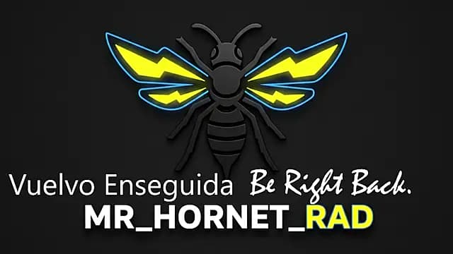 Mr_Hornet_Rad live cam