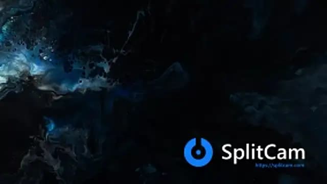 SwervedSlick live cam