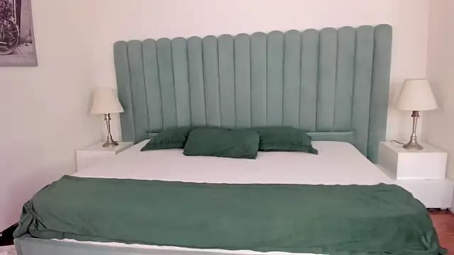 Scarlett__Noir live cam