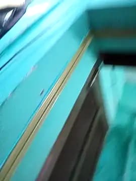 Mantlinggymnast001 live cam