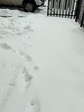 _uncle_Mitya-43_ live cam