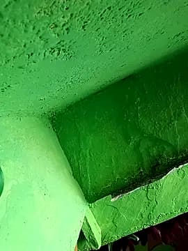 Riyakumari_hot66 live cam on Stripchat