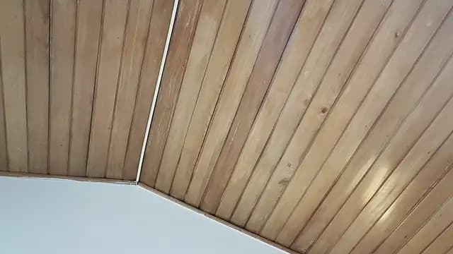 ashly_jones_ live cam