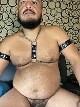 the_master_foal_ live cam