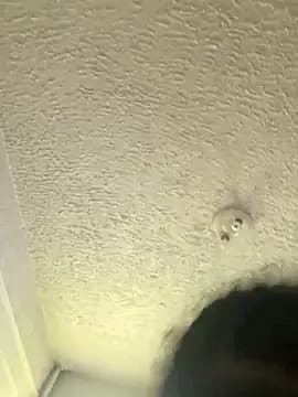 Nitobooy77 live cam on Stripchat