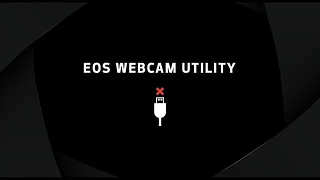 VibestCouple live cam