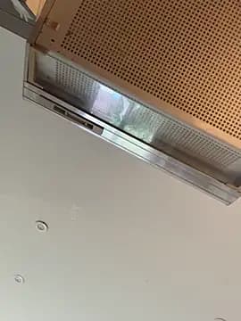 Gipsyboysteve live cam