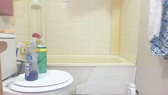 Yankeedave420 live cam