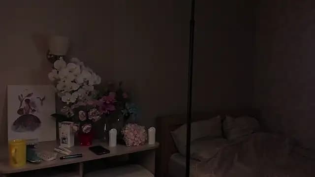 TommyDrovin live cam