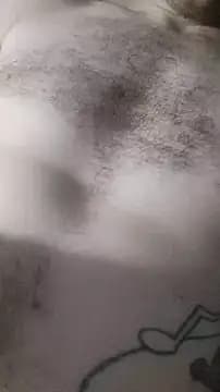 Assignedass live cam