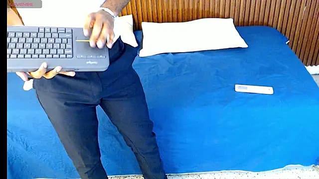 Darwin_mayo live cam