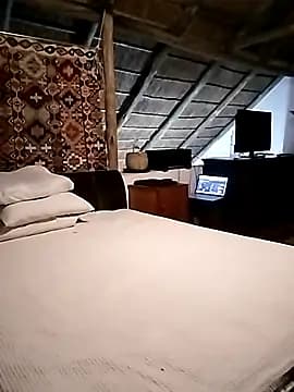 Breezyvikky live cam