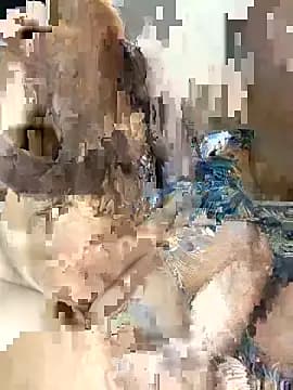 P4pratiksha live cam