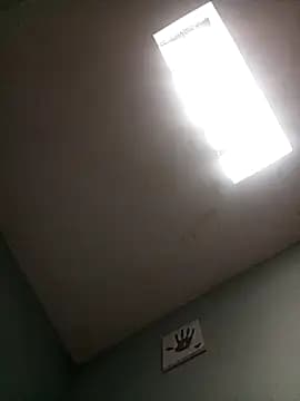 DuckandLumen live cam