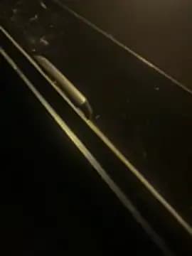 chicohott966 live cam