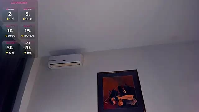 RonnieSchmertz live cam