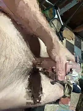 Aarondeweese27 live cam