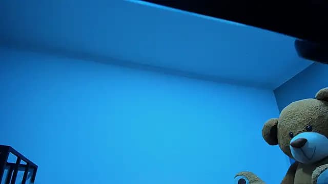 AuroraWishes live cam