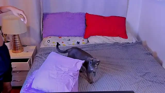 santy-kitty live cam