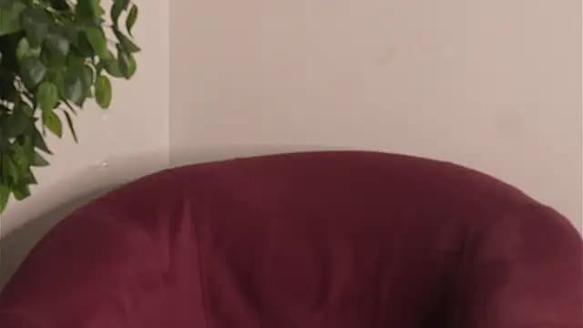 CarolynnDossey live cam