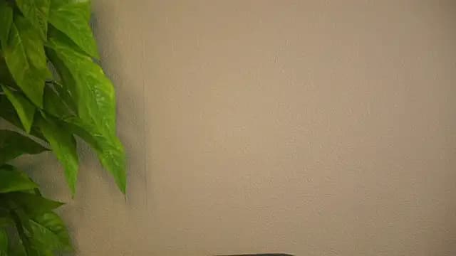 ShelbaCarrahan live cam