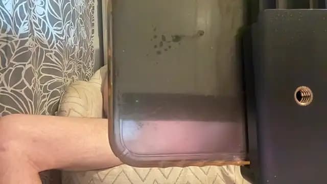 Nathan_chase live cam