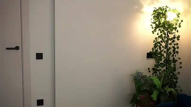 SaraSwartz live cam on Stripchat