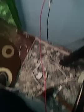 Daniel_cornel live cam