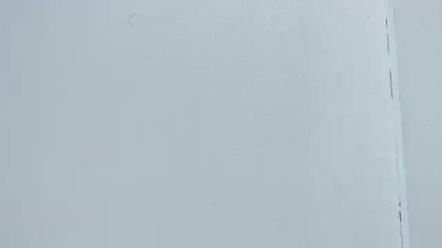 vannellope_roberts live cam