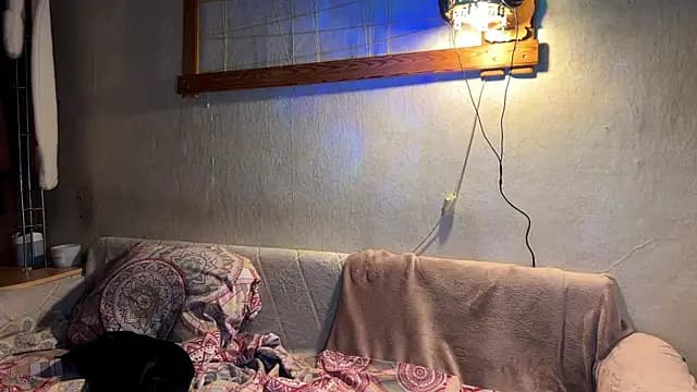 TRAMADOLL2008 live cam